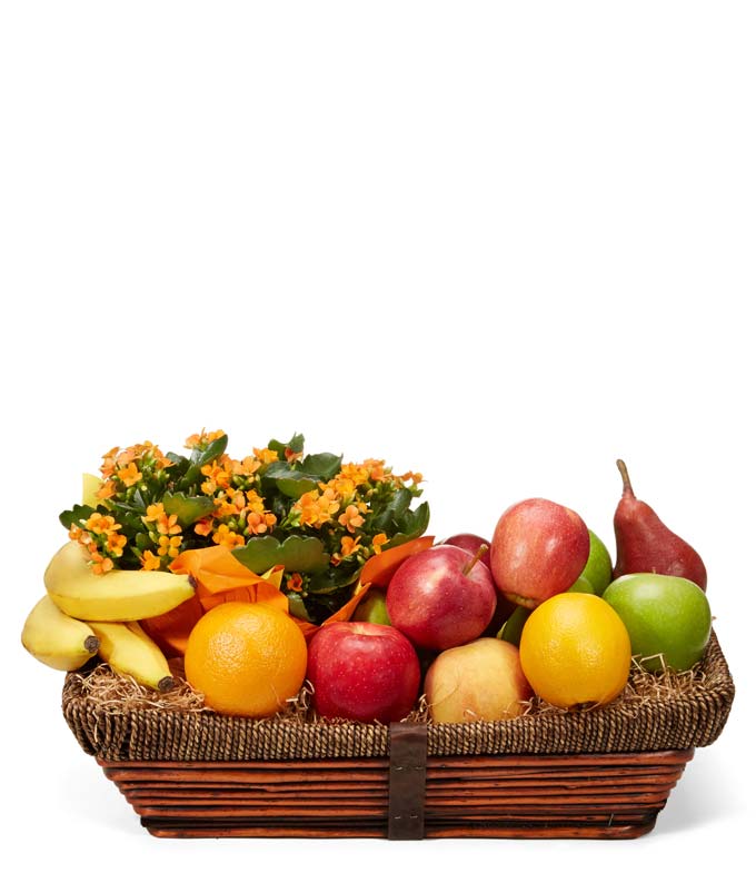 Types of gift baskets for funeral service delivery plant and fruit gift basket