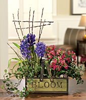 Blooming Basket 