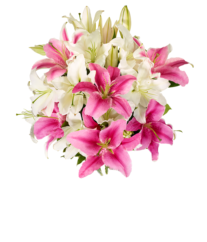 Sympathy Flowers Sympathy Gifts FromYouFlowers®