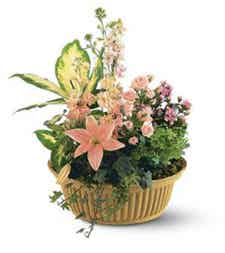 篮子里有粉色百合和迷你粉色花朵