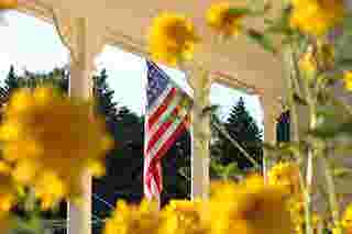 插有鲜花的美国国旗