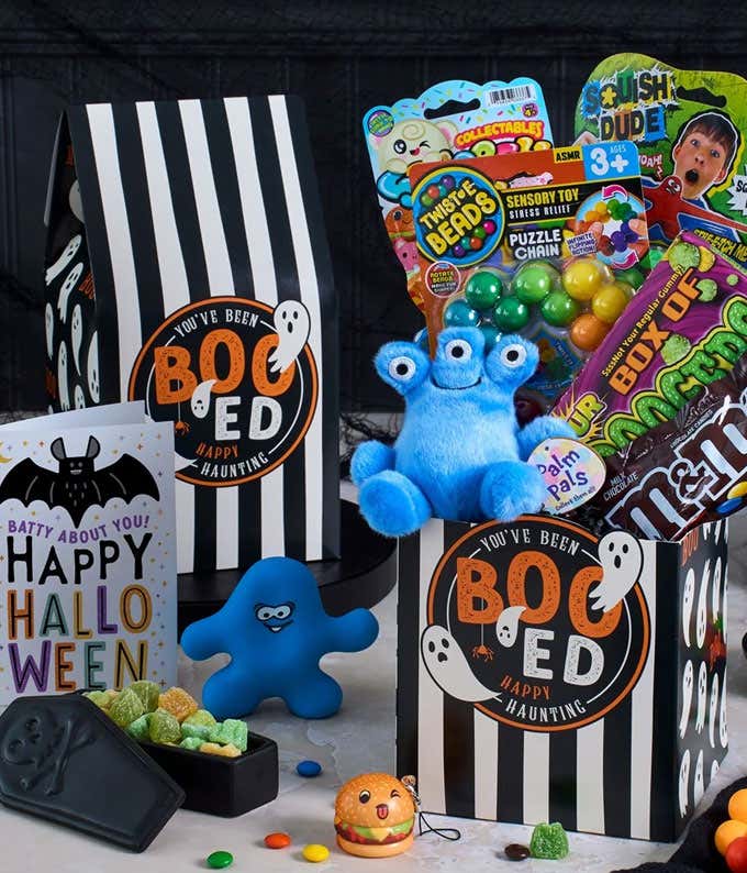Treats & Toys Halloween Gift Basket