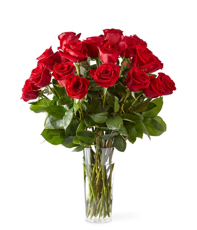Two Dozen Long Stem Red Rose Bouquet