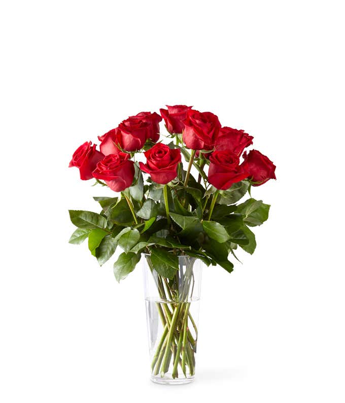 12 Long Stem Red Rose Bouquet