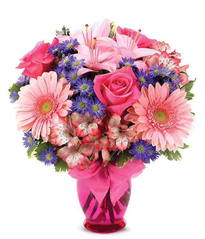 Gebra daisies in a pink vase