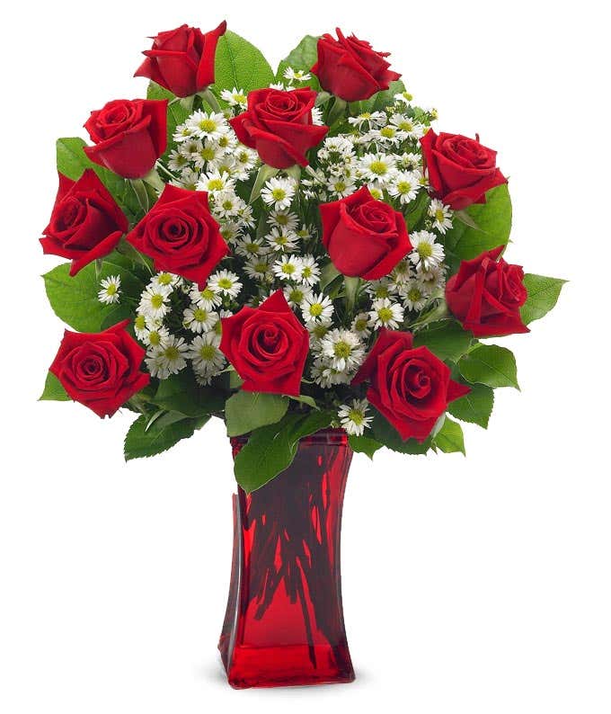 Long stemmed Red roses delivered in red vase