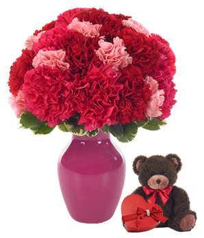 Red & Pink carnations with teddy bear