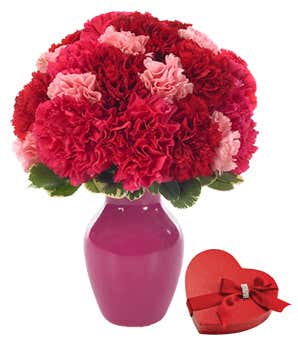 Red carnations, pink carnations and a box of chocolate gift