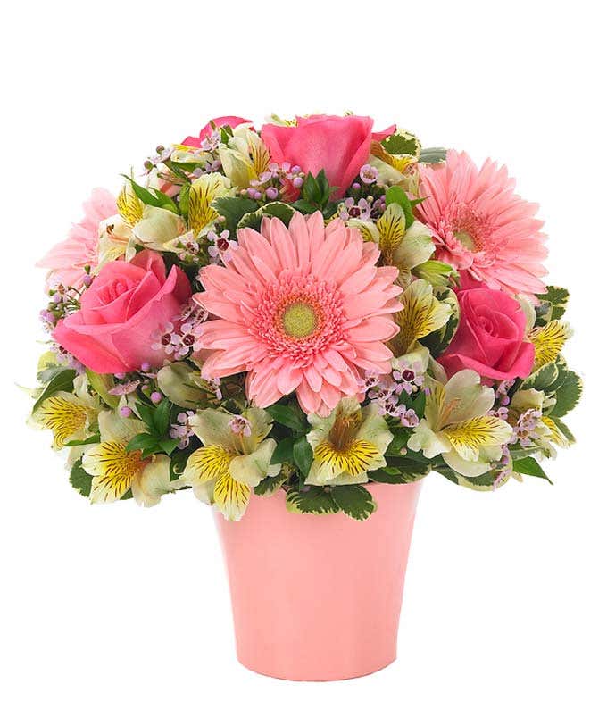 Daisy & Rose Delight at From You Flowers