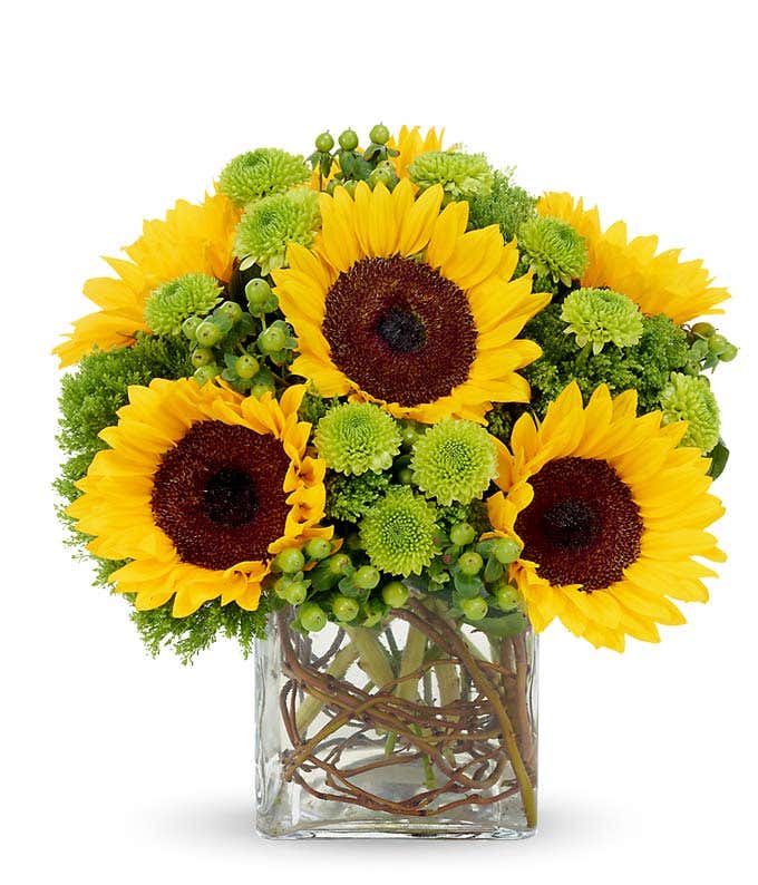 Sunflower bouquet by a florist with green poms