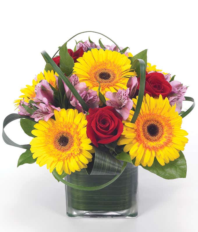 Sunflowers, red roses and purple alstroemeria in square vase