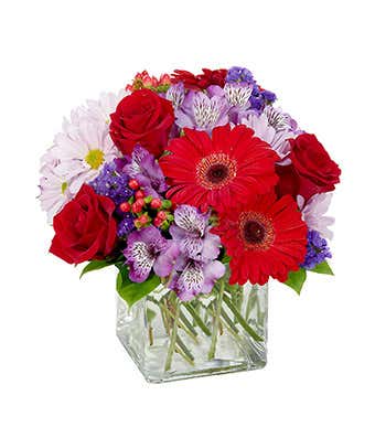 Red gerbera daisies, purple flowers and more in square vase