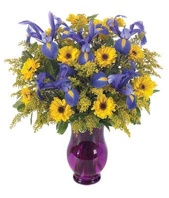 Blue Iris and yellow daisies in a purple vase
