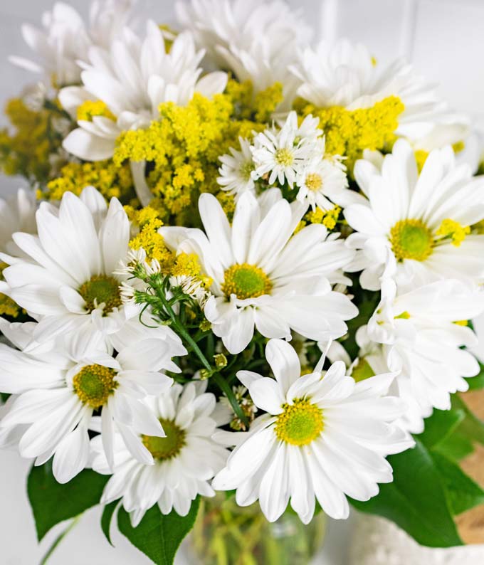 Daisy Delight at From You Flowers