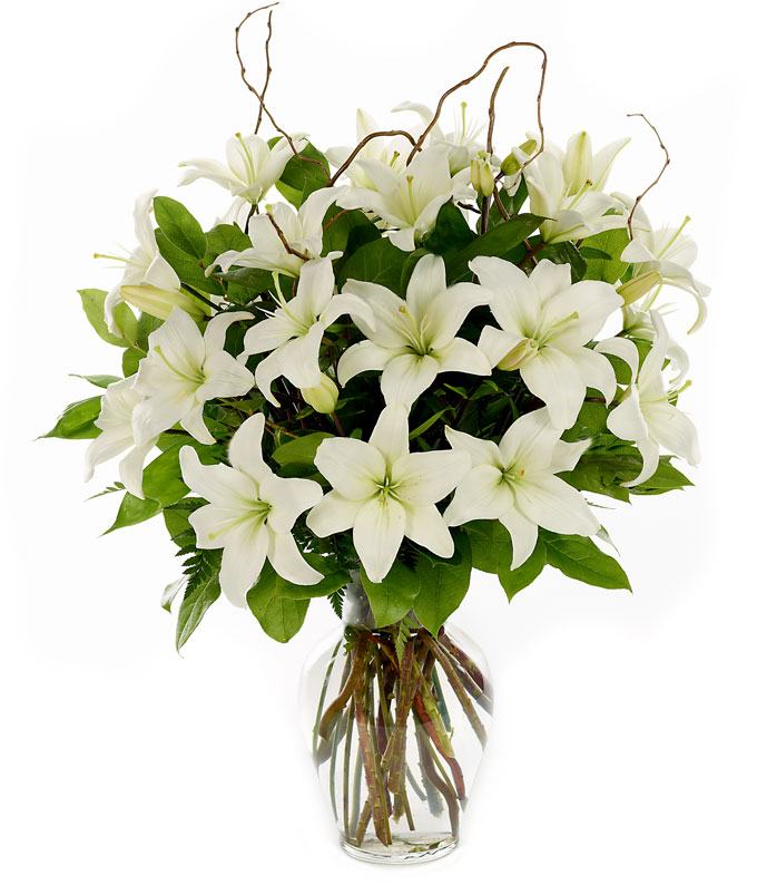 Loving Lilies - White