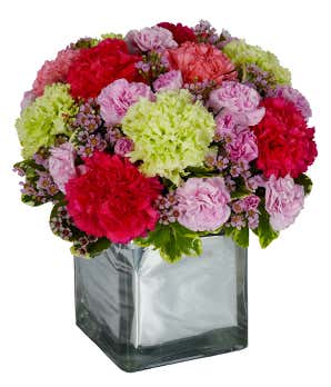 Pink carnations, green carnations and red carnations in square vase
