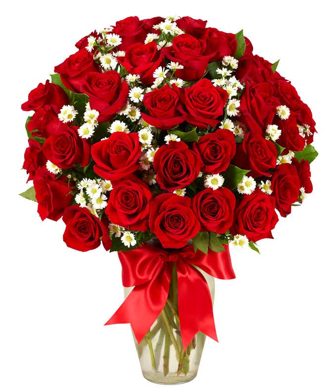 Three dozen red roses