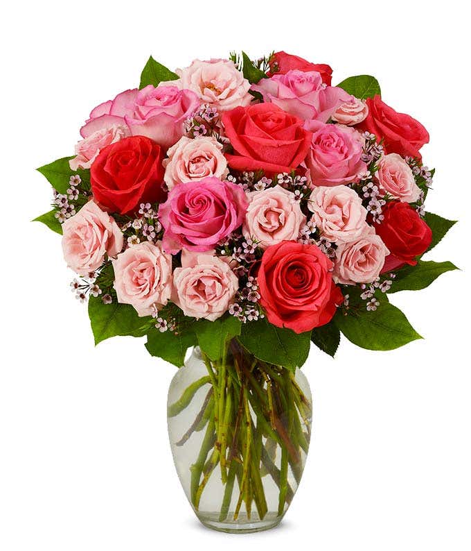 Pink roses including spray and long stem in a glass vase