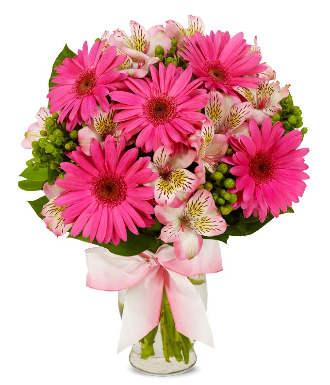 Playful Pink Gerbera Daisy Bouquet