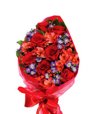 Red roses and purple monte casino hand wrapped