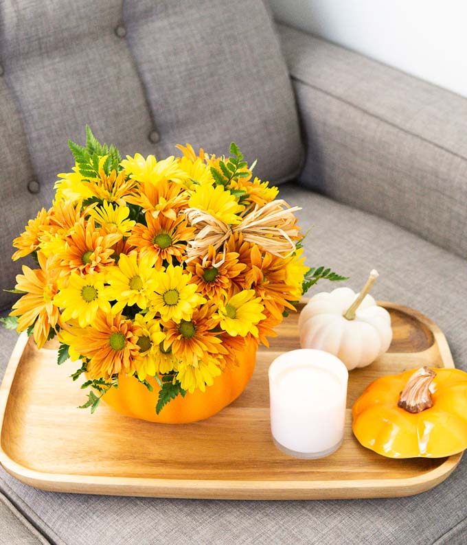 The Daisy Pumpkin Arrangement at From You Flowers