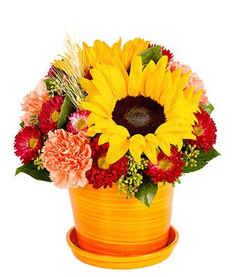 Sweet Sunflower Bouquet at From You Flowers
