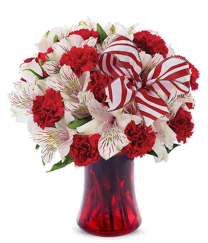 Red carnations and white alstroemeria in a red vase with holiday bow