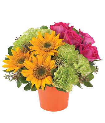 Sunflowers, pink roses and green carnations delivered