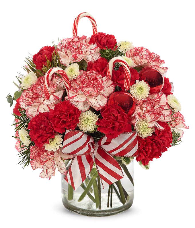 bi-color carnations with candy canes