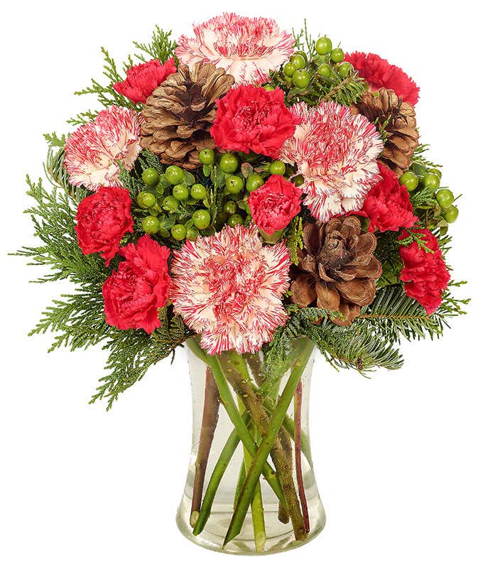 bi-colored carnations, green hypericum berries and pine cone bouquets