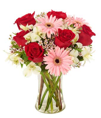 Valentine's daisy bouquet with red roses and pink Gerber