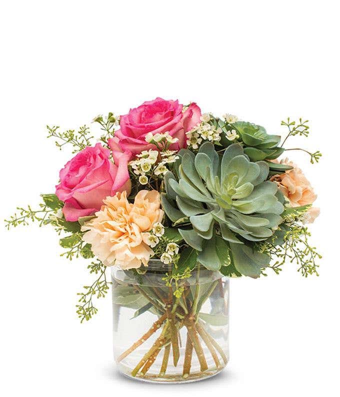 Roses, carnations and succulent delivery