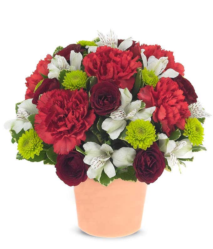 Red carnations with green poms all tied together with white alstroemeria