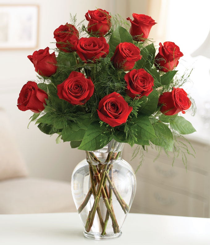 Premium Dozen Red RosesValentine Roses