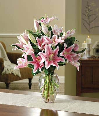 all stargazer pink lily bouquet