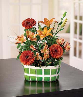 Decorative basket with orange lilies and gerbera daisies