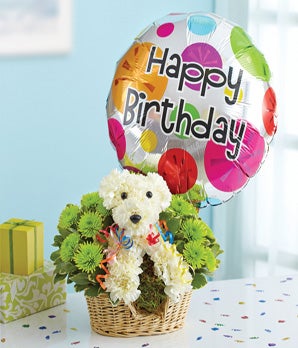 1 800 Flowers Party Animal At From You Item Description
