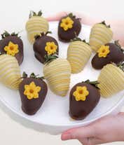 Alternative image 2 for Chocolate Covered Sunflower Strawberries