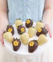 Alternative image 4 for Chocolate Covered Sunflower Strawberries