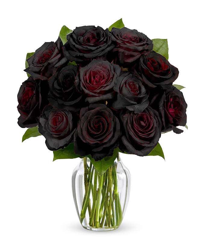 Bouquet featuring 12 black Roses, with optional vase and card message, securely packed in a box.