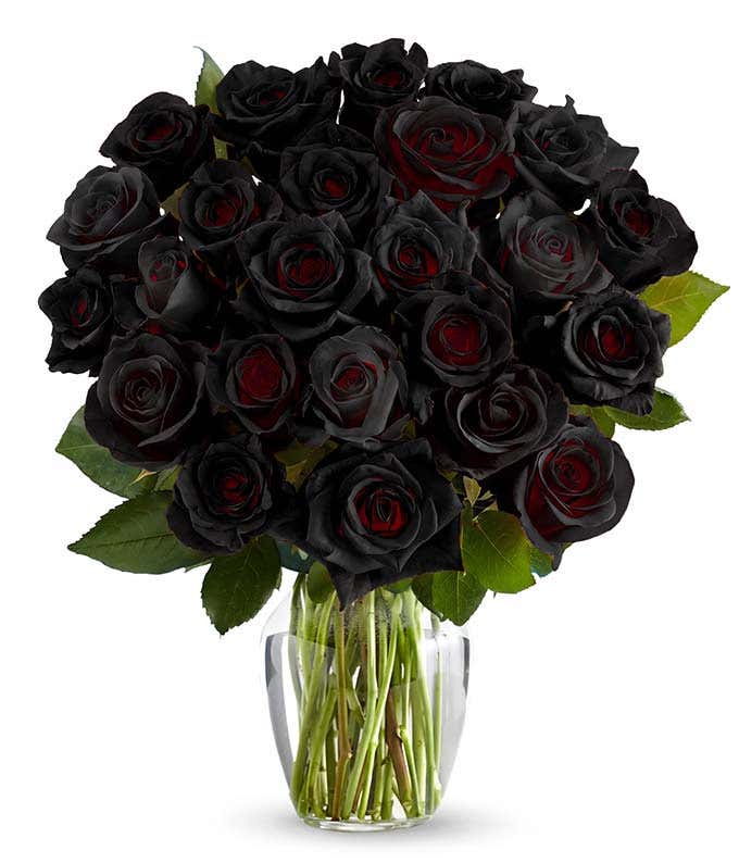 Bouquet featuring 24 black Roses, with optional vase and card message, securely packed in a box.