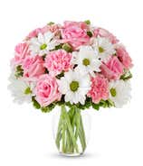 Premium Blushing Daisies Bouquet