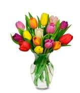 Fifteen Rainbow Tulip Bouquet