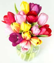 Alternative image 2 for Bouquet of 20 vibrant rainbow tulips with optional elegant glass vase and personalized gift message for a new baby.