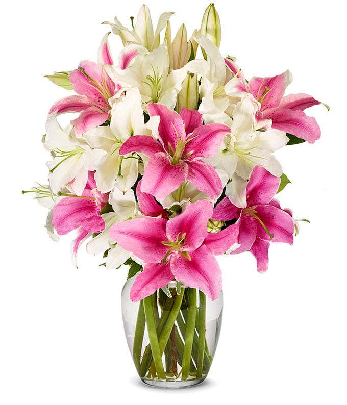 Bouquet of elegant pink and white lilies with optional stylish glass vase and personalized gift message for a housewarming.