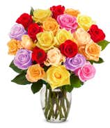 Two Dozen Rainbow Apology Roses