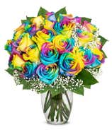 Two Dozen Wild Rainbow Apology Roses