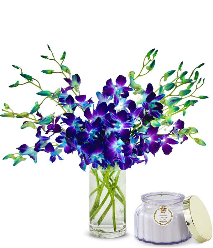 bold blue dyed orchids with multiple blooms per stem in an optional glass vase. Sitting next to a small purple candle.