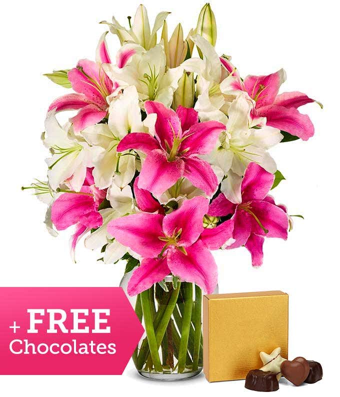 Stunning Pink and White Lilies + Free Chocolate