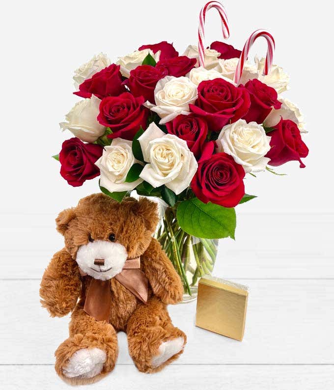 Two Dozen Red & White Candy Cane Roses with Teddy Bear, Chocolates, & Vase